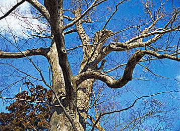 探索驱动《二进制恋人》10月31日发售 支持试玩